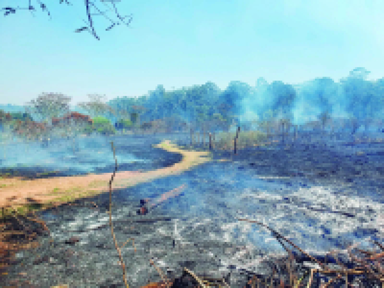 Queimadas causam transtornos em Iperó