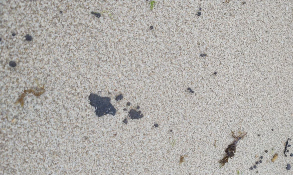 Universidades investigam manchas de óleo em praias cearenses