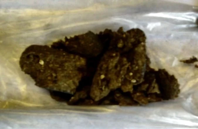 Mulher é flagrada com drogas em penitenciária de Capela do Alto