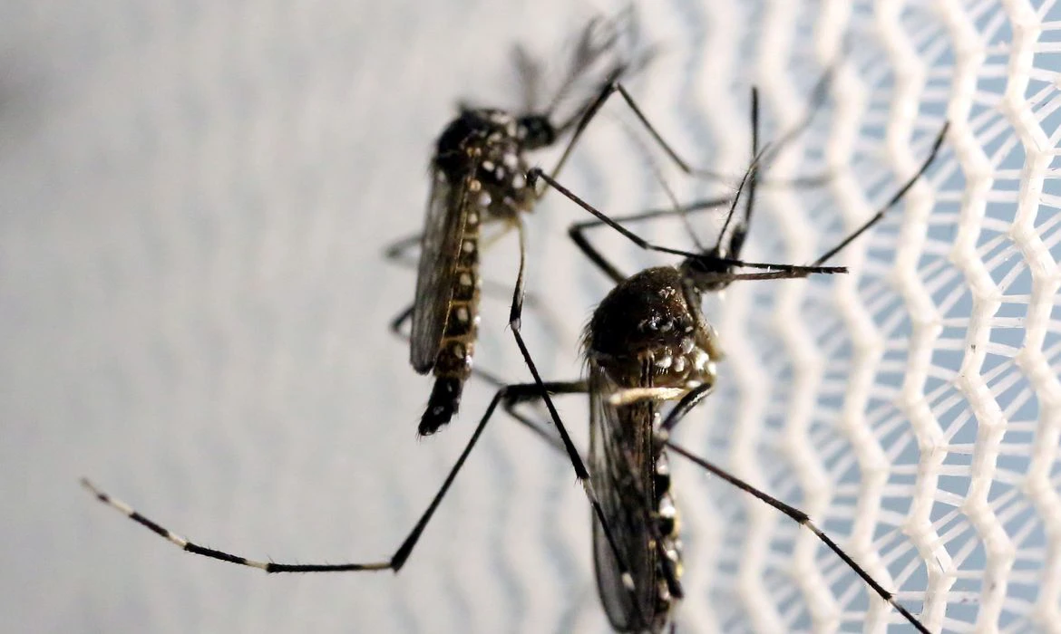 Votuporanga decreta epidemia de dengue