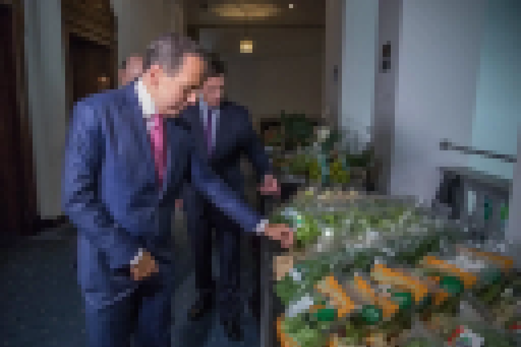 Governo de São Paulo zera ICMS de frutas, verduras e hortaliças embaladas