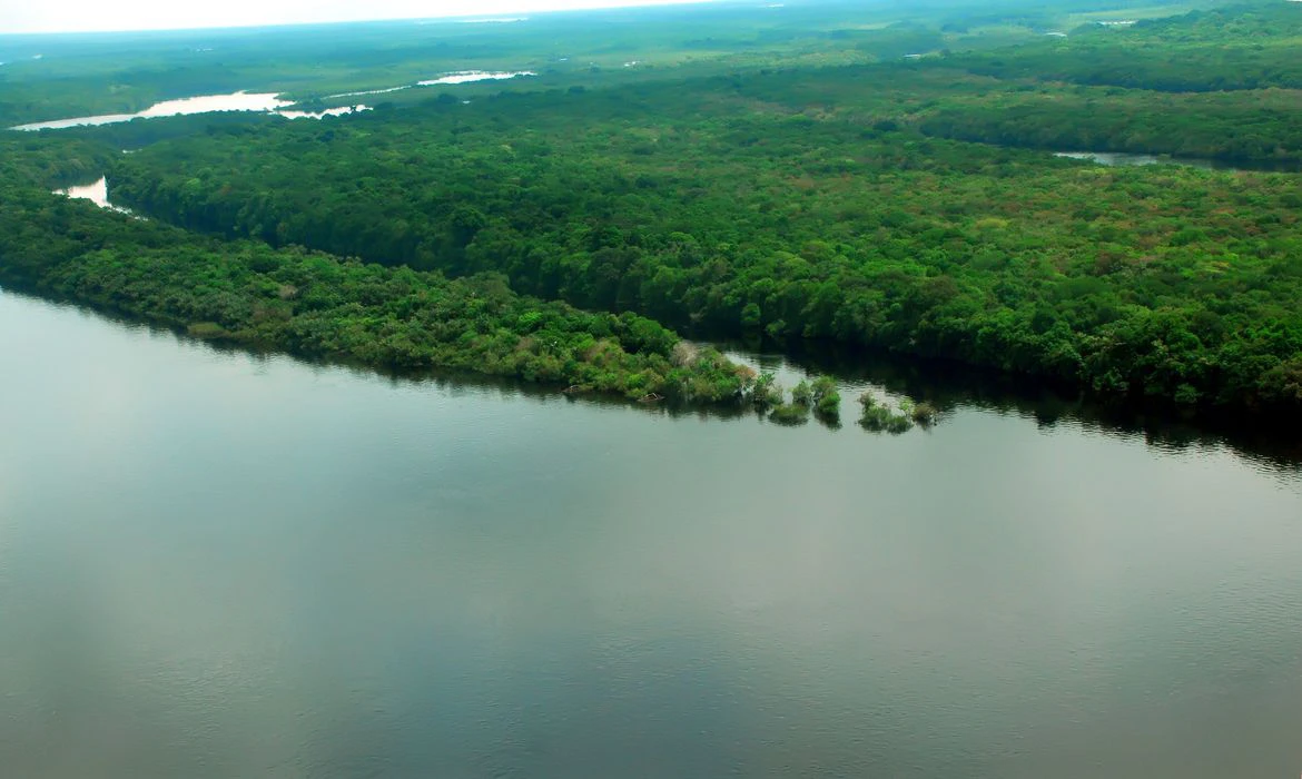 Governo lança operação contra o desmatamento na Amazônia Foco será no combate ao desmatamento e às queimadas ilegais