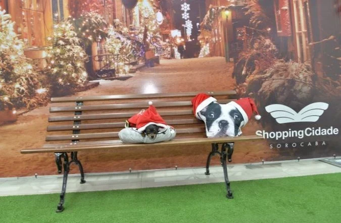 Shopping Cidade Sorocaba cria espaço natalino exclusivo para pets