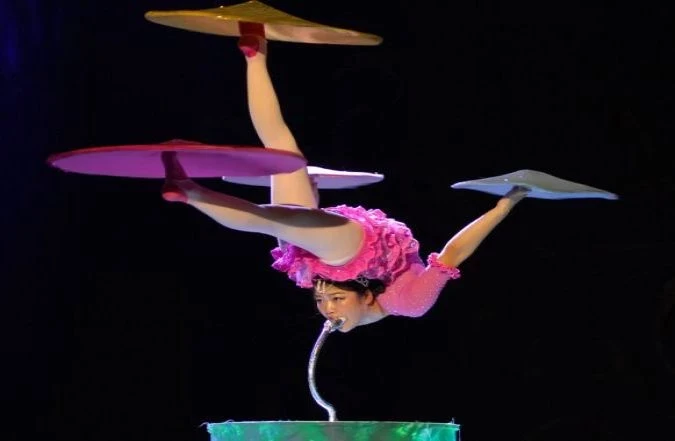 Circo Imperial da China será no Shopping Iguatemi Esplanada e ingressos já estão à venda