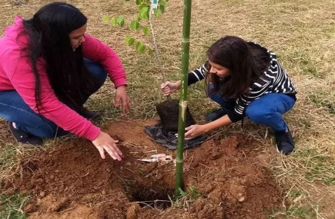 “Semana do Meio Ambiente” conscientiza sobre a importância do tema