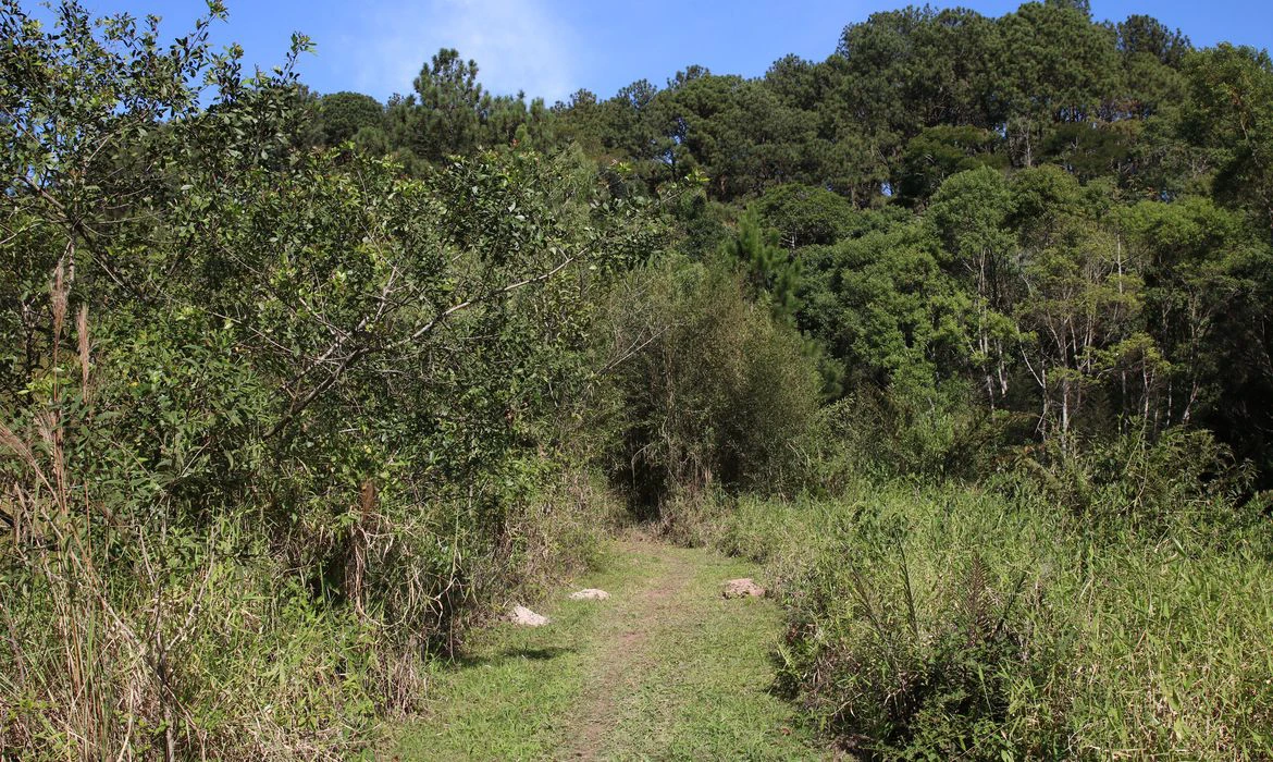 Capital paulista terá trilha de 170 km ligando parques da zona sul