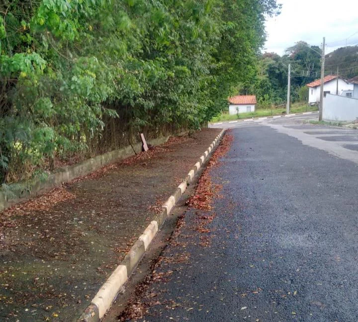 Por conta do excesso de folhas nas calçadas, pedestres precisam caminhar pela rua