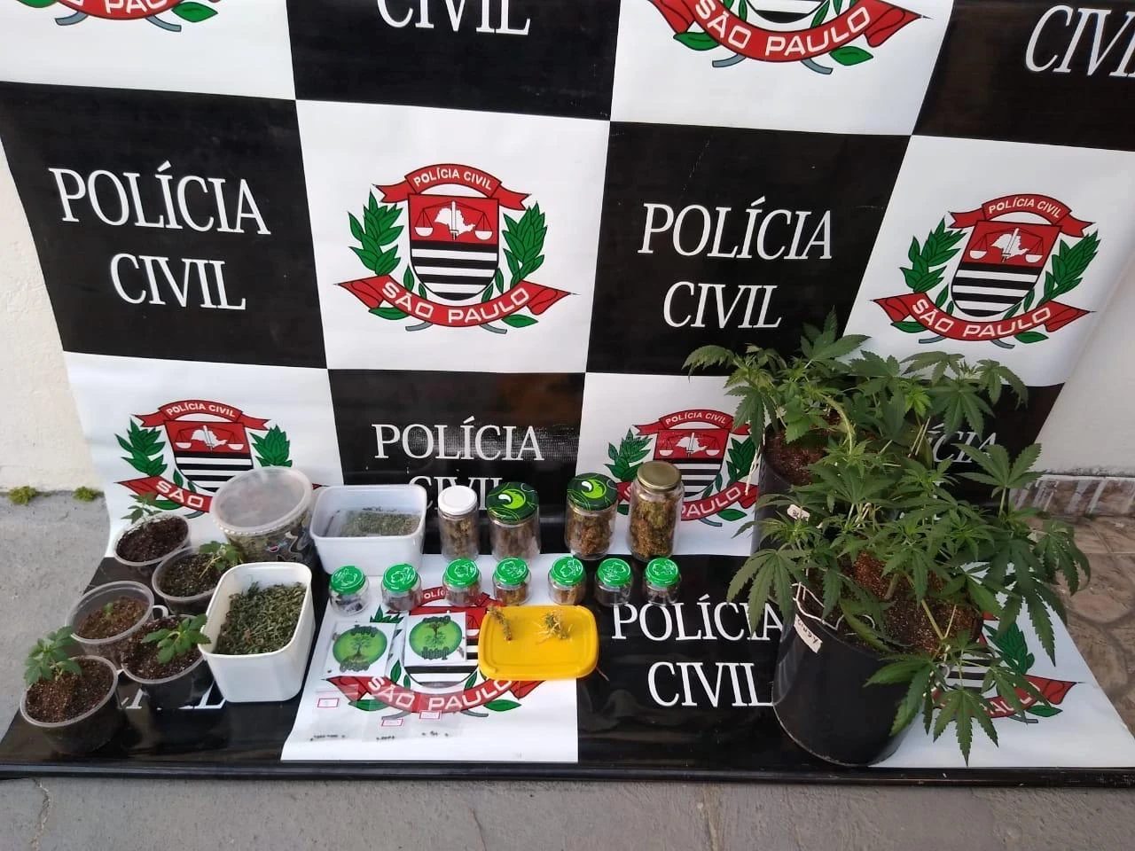 Homem é preso em Araçoiaba da Serra com estufa de maconha