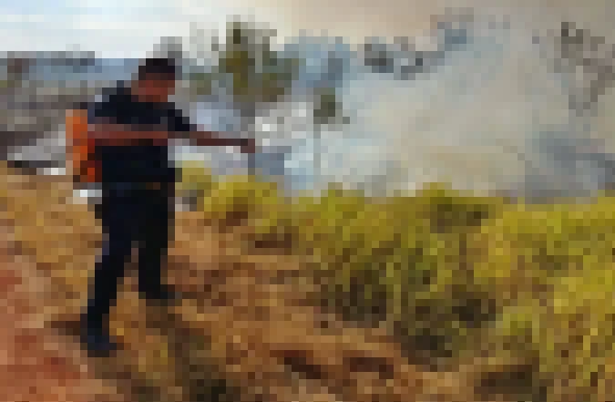 Sem motorista na prefeitura que soubesse operar caminhão pipa, GCMs e algumas pessoas do ICMBio apagam queimada usando abafadores e bombas de água manual