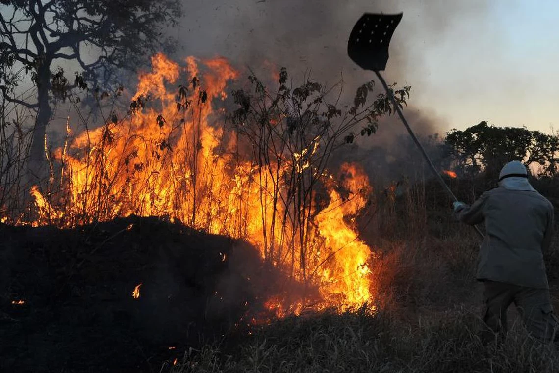 SP envia helicóptero para combater incêndio no MS