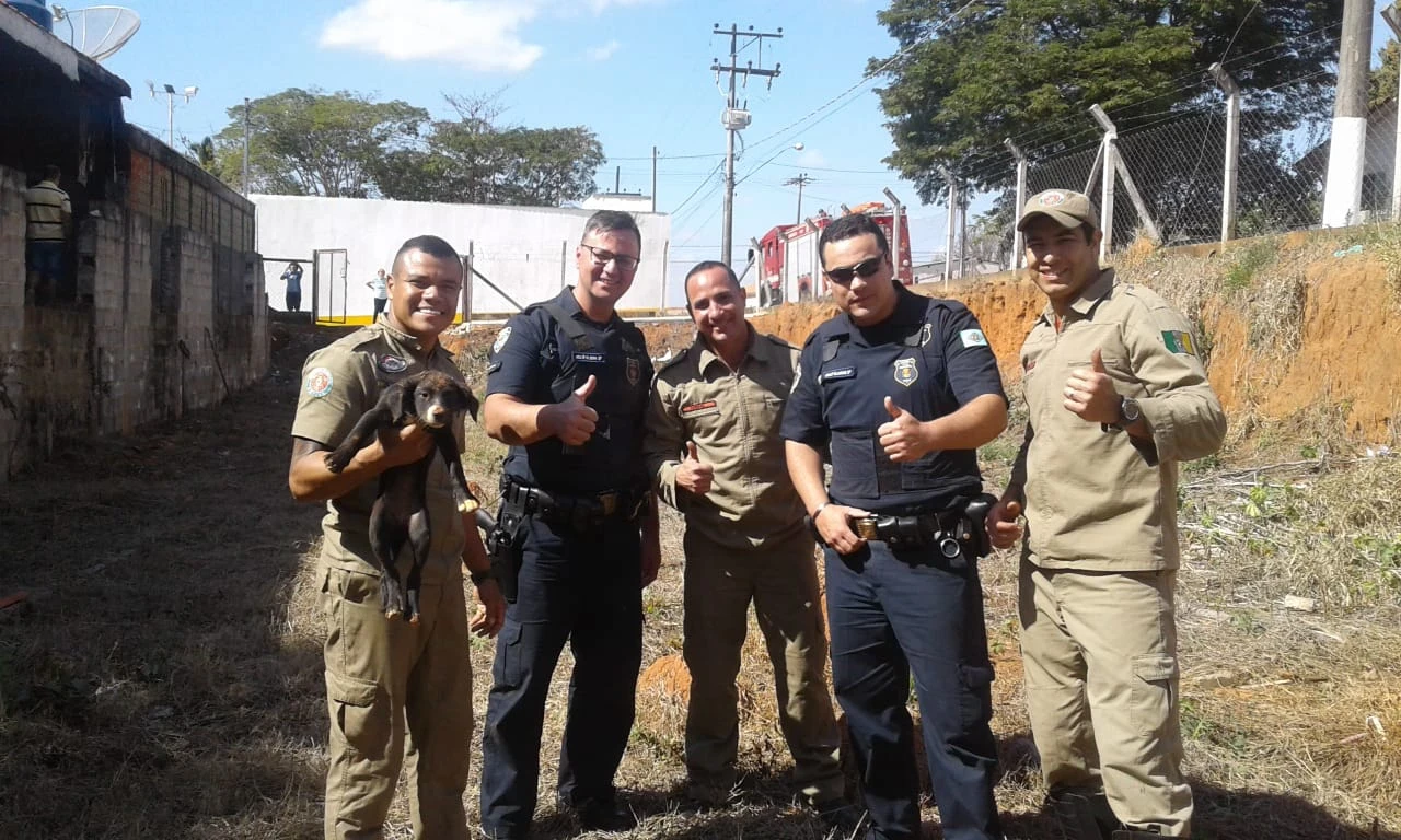 GCM e Corpo de Bombeiros resgatam cachorro preso em buraco de cinco metros em Iperó
