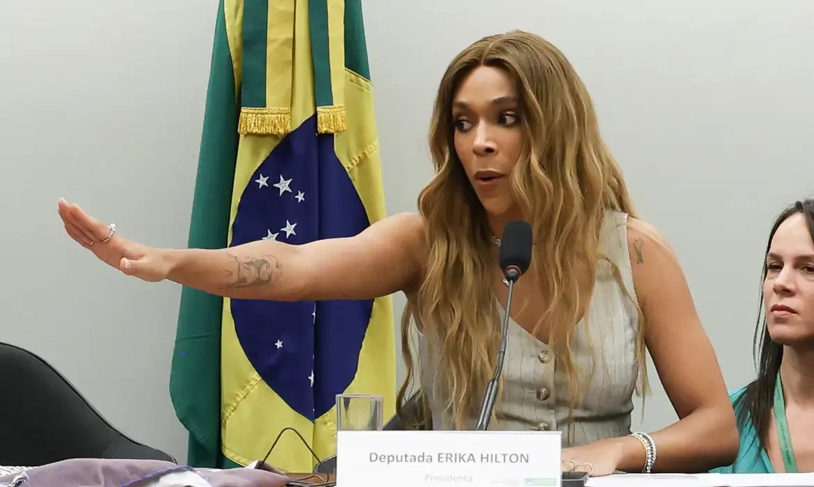 Comissão enfrentará "sistema organizado de opressão", diz Erika Hilton