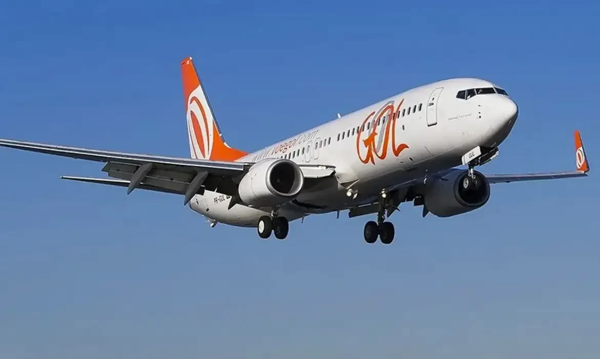 Voa Brasil registra 40 mil reservas nos últimos 10 meses