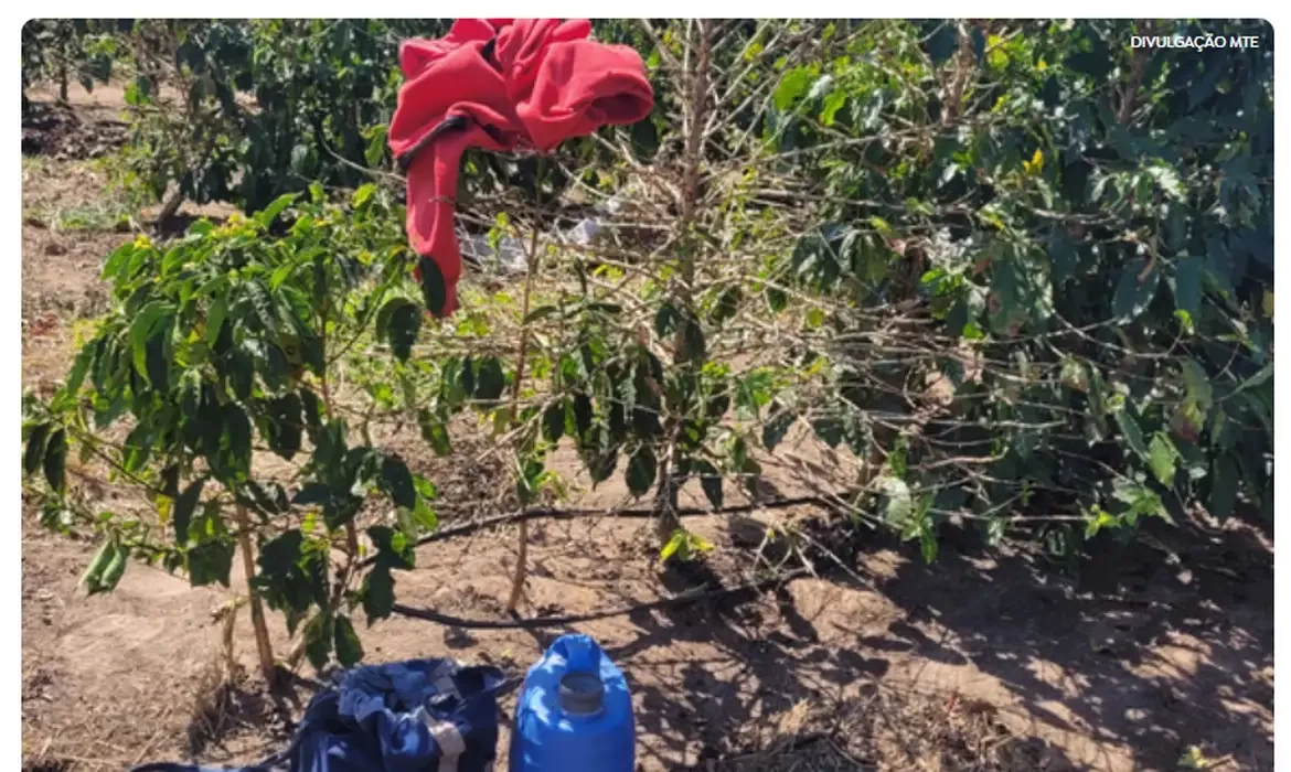 Ação resgata 17 trabalhadores em condições análogas à escravidão em SP