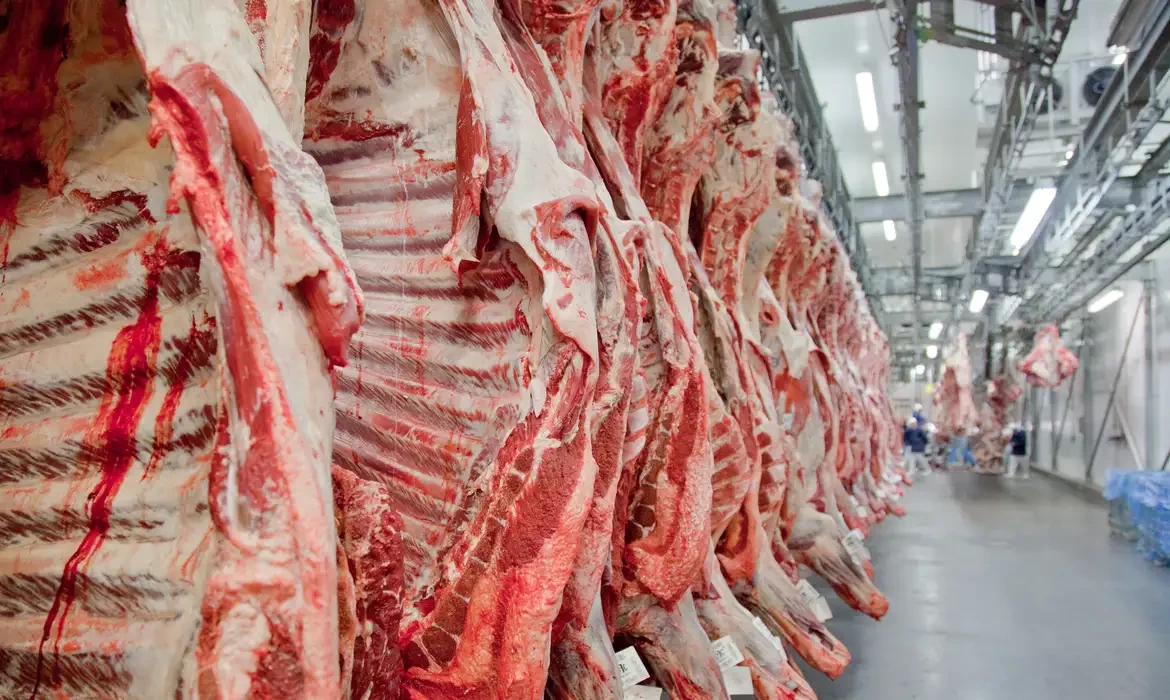 Exportação de carne bovina bate recorde em mês anterior ao tarifaço