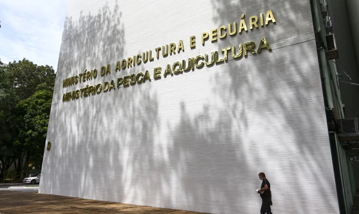 Oito lotes de café são apreendidos com presença de impurezas