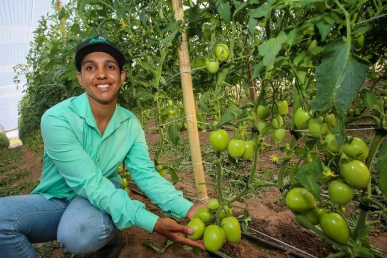 Governo de SP amplia linhas de crédito para fortalecer produtores rurais paulistas