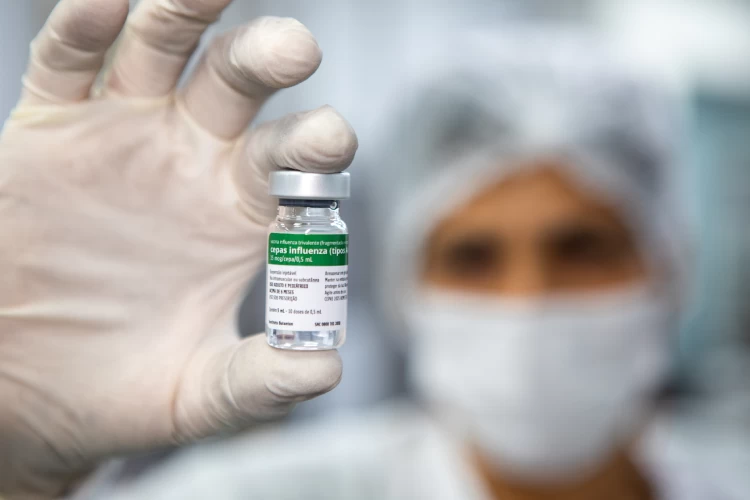 Vacina da gripe: entenda como acontece a vigilância do vírus influenza e a escolha das cepas do imunizante