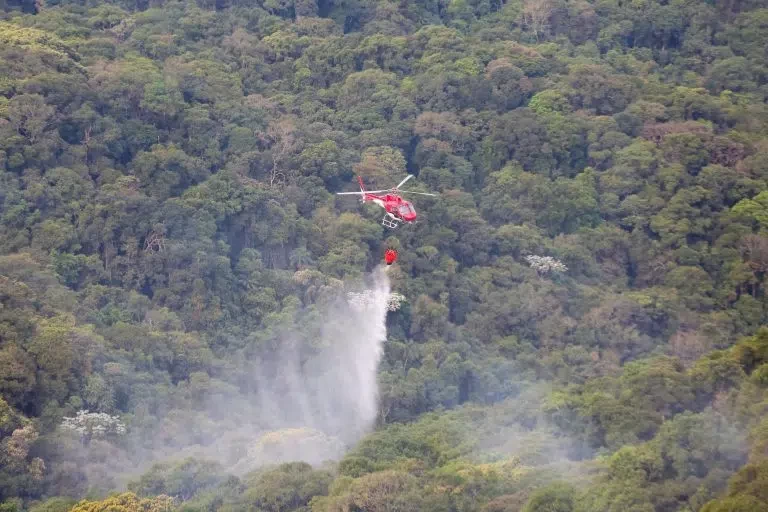 Governo de SP inicia fase vermelha da Operação SP Sem Fogo com uso de tecnologia e foco em prevenção