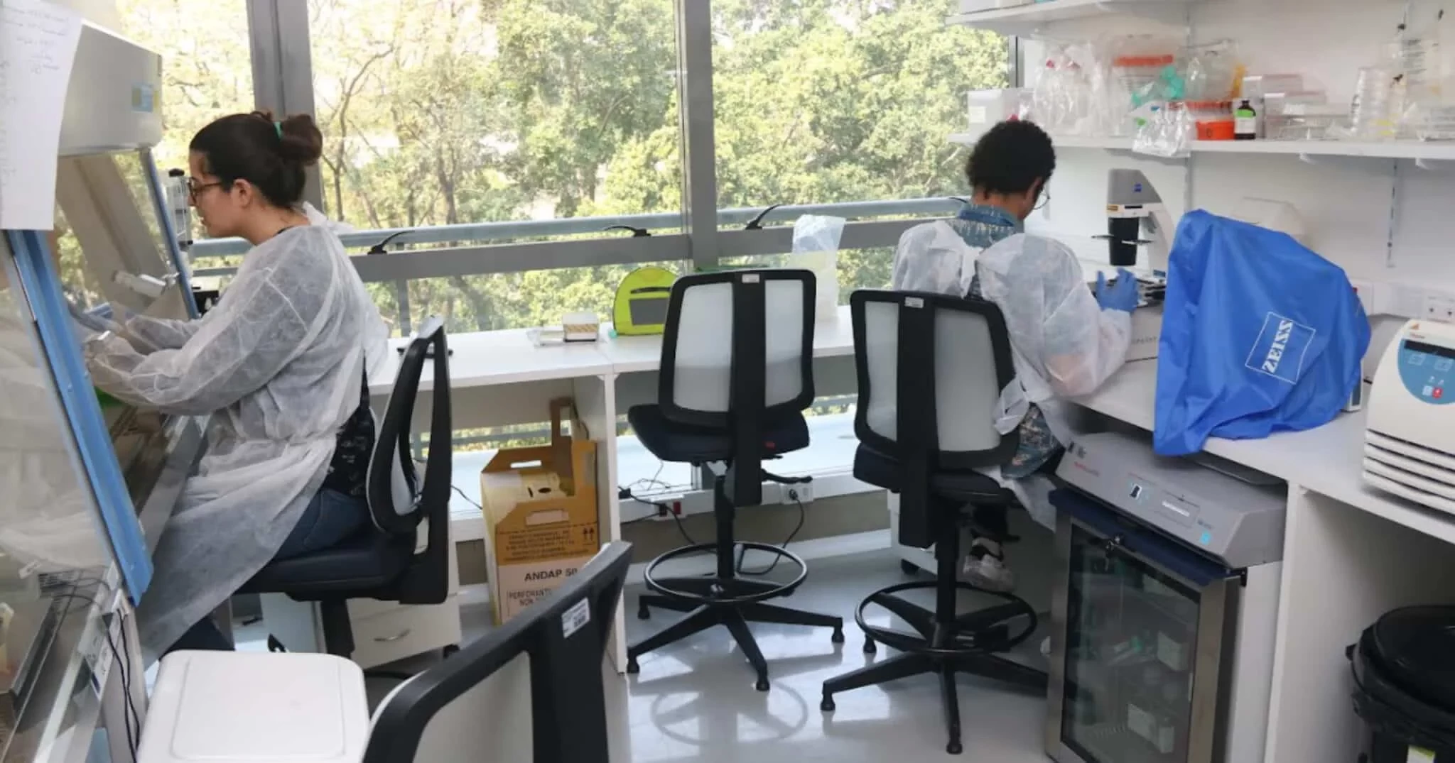 Projeto usa inteligência artificial para identificar áreas de risco de dengue