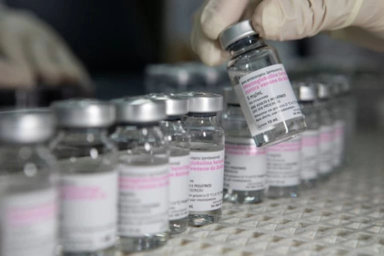 Estudo mapeia áreas de maior risco para picada por serpente e características dos acidentes