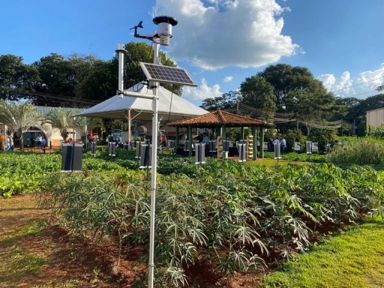 Programa Agro Clima SP: produtor terá acesso gratuito a dados agrometeorológicos