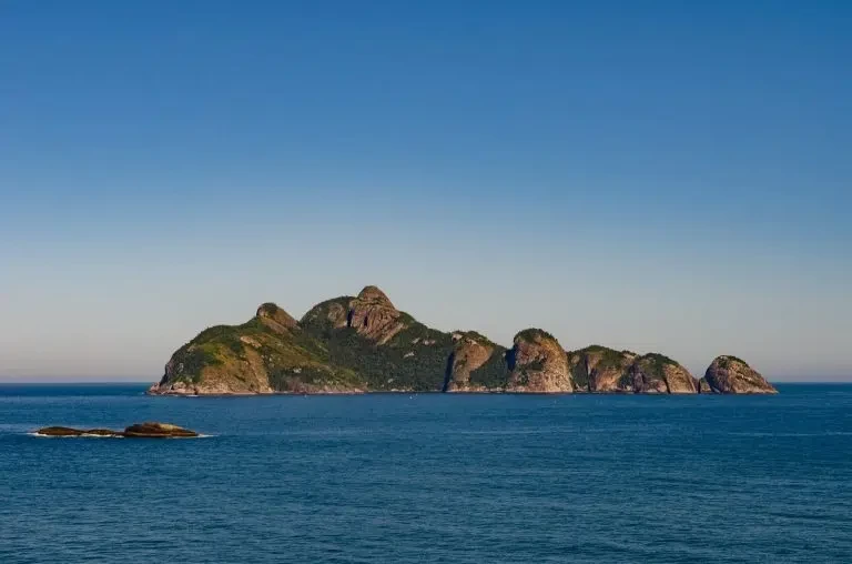 Analgésicos de uso comum ameaçam base da cadeia alimentar marinha, alerta pesquisa