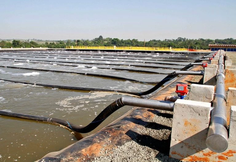 Arsesp abre inscrições de concurso público para 105 vagas