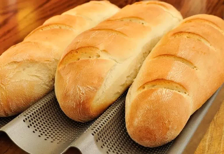 Reaproveitamento da farinha de sementes de girassol viabiliza pão mais proteico e rico em antioxidantes