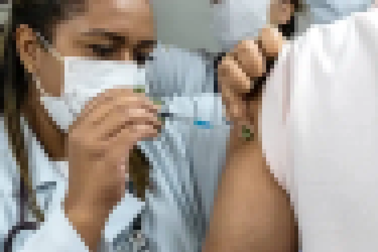 Gripe aviária pode ser transmitida entre humanos? Pode afetar carne de frango ou virar pandemia? Butantan responde