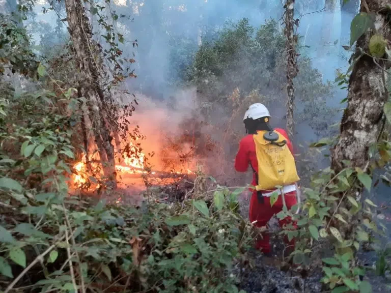 SP Sem Fogo: operação conjunta fortalece combate a incêndios durante período de estiagem