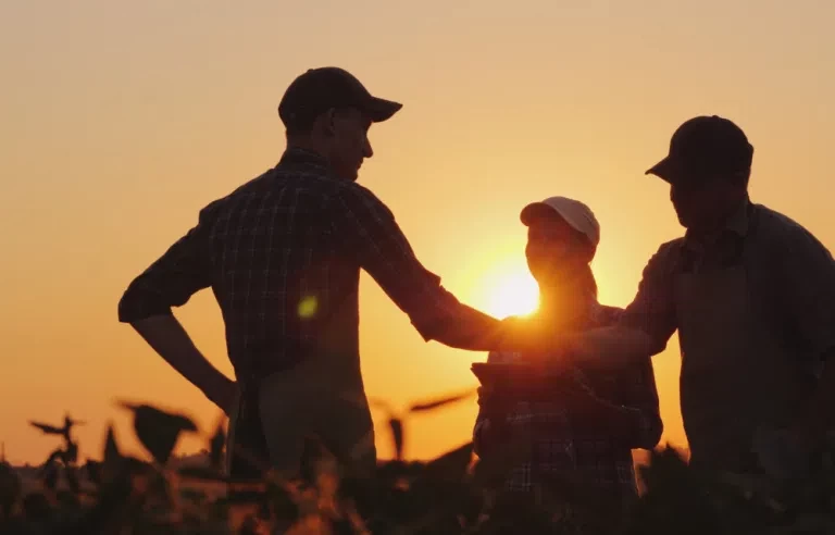 Estado de SP cria 33% das vagas com carteira assinada no país em julho