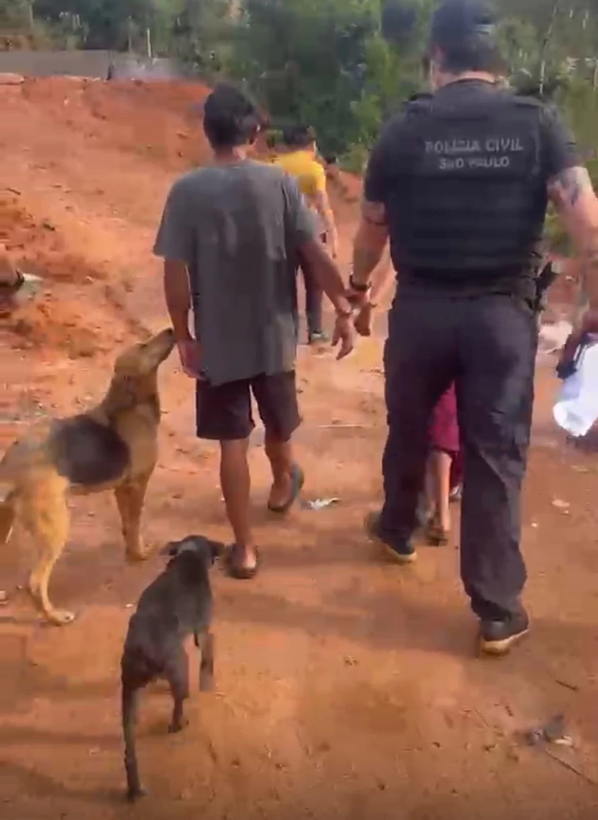 Polícia Civil prende padrasto suspeito de estuprar enteada de 13 anos em Tapiraí