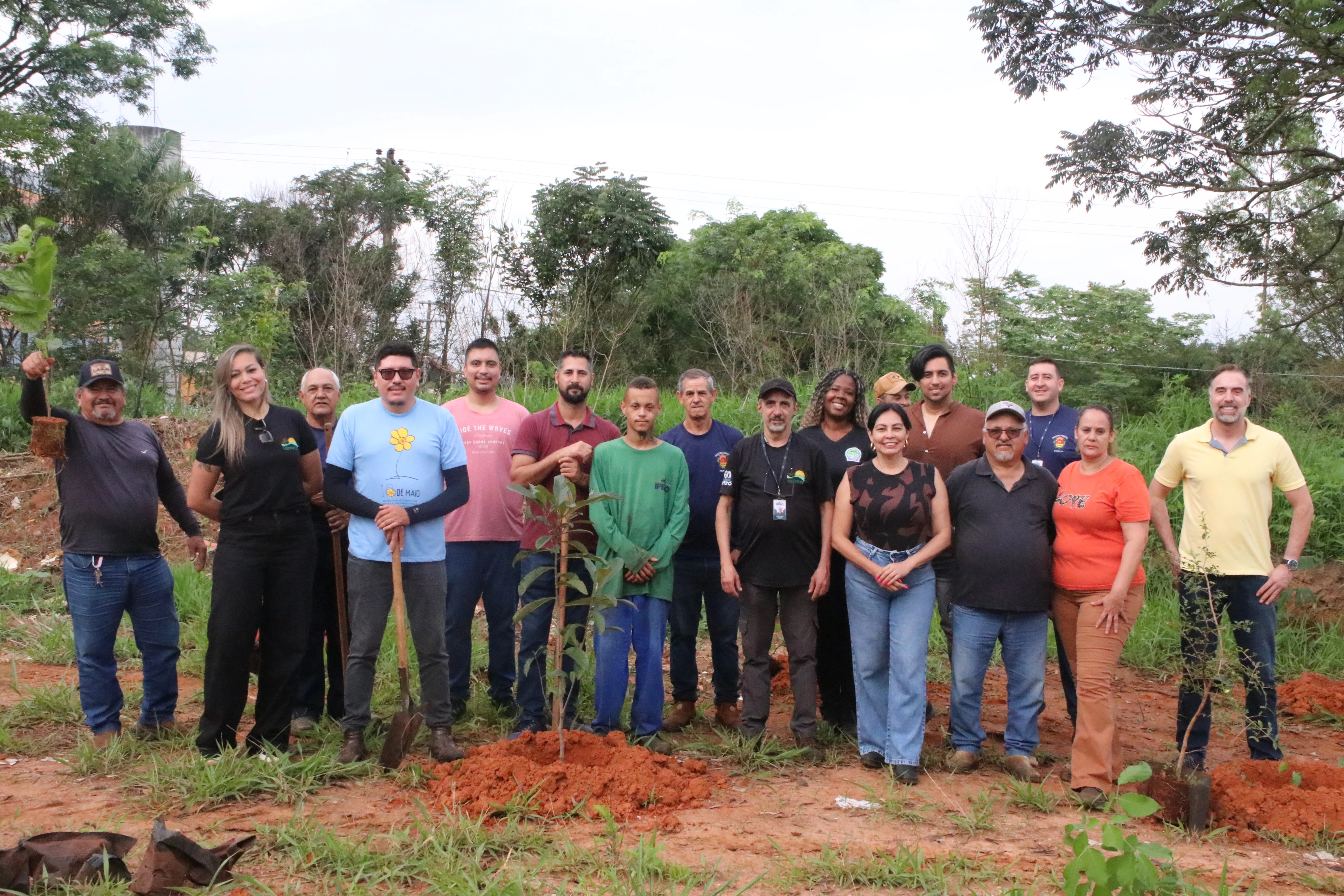 Iperó realiza plantio de cerca de 100 árvores no bairro Bela Vista