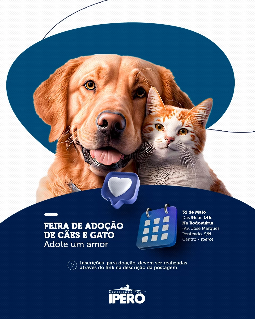 Feira de Adoção acontece no próximo sábado em frente à rodoviária