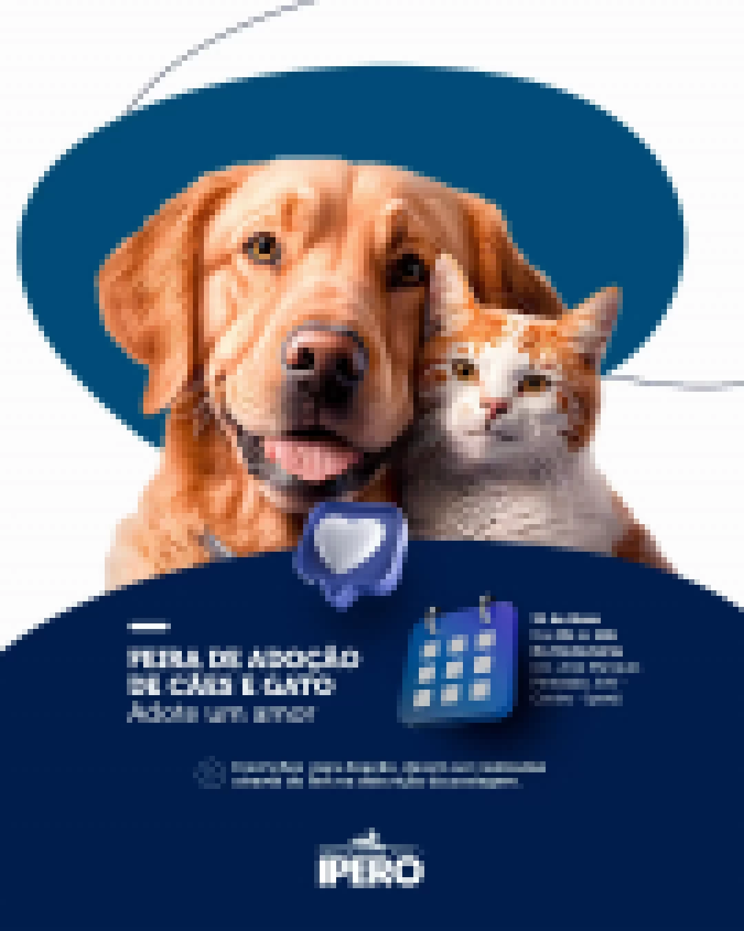 Feira de Adoção acontece no próximo sábado em frente à rodoviária