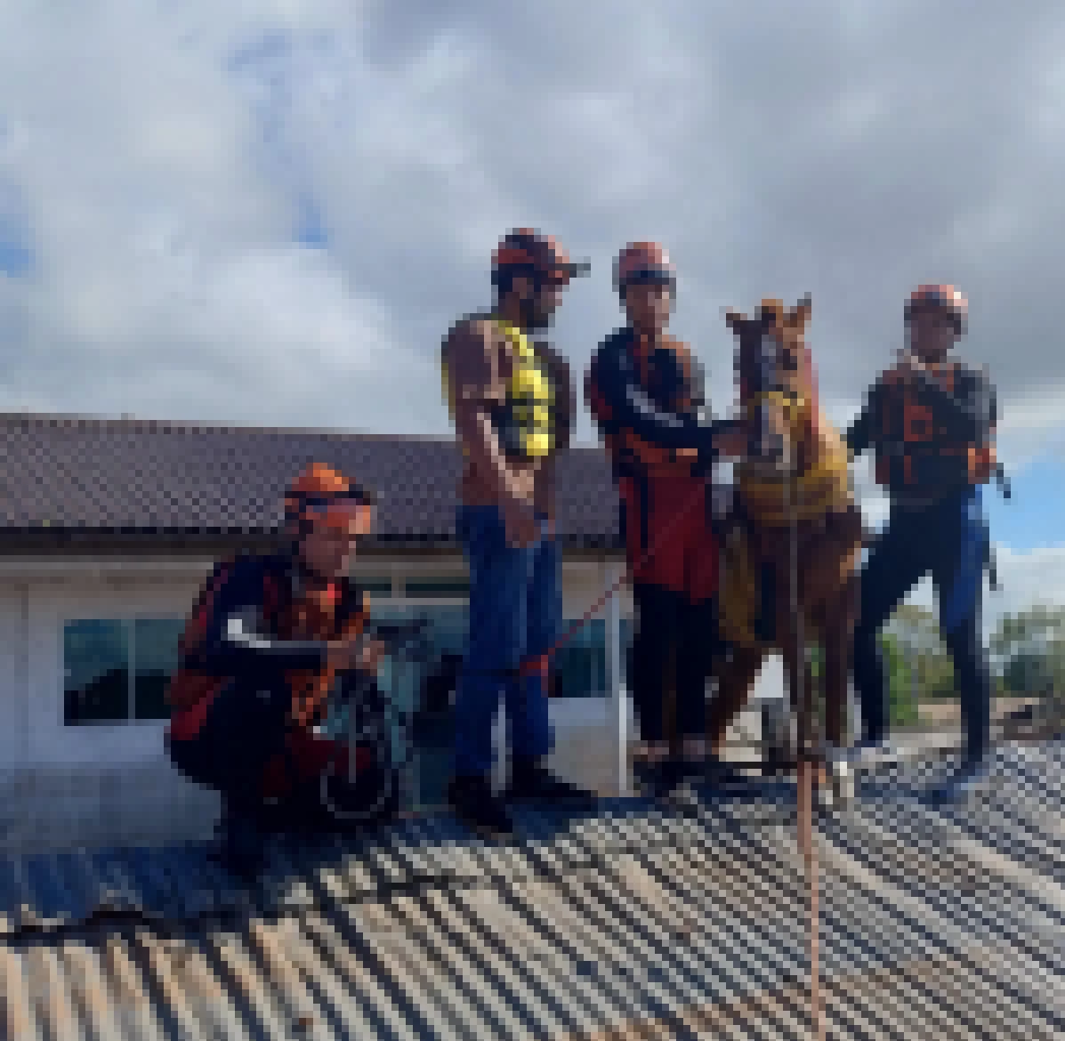 Enchentes no Rio Grande do Sul: quem são os agentes de SP que ajudaram nos resgates