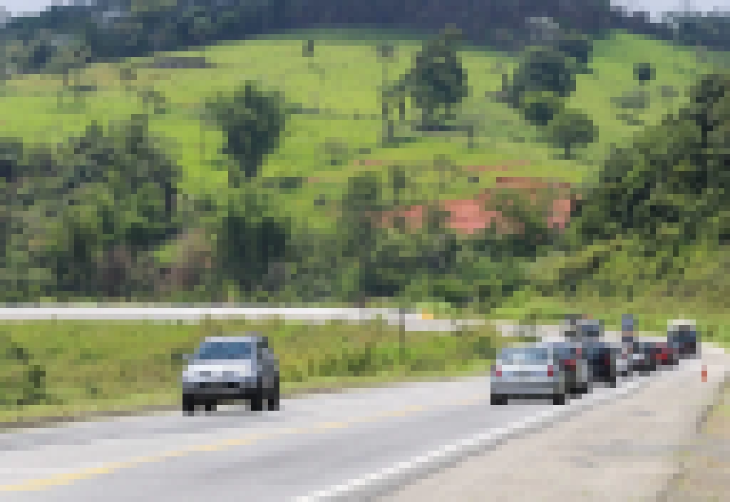 Estado de SP garante passagens de fauna para a travessia segura em 415 pontos estratégicos das rodovias concedidas