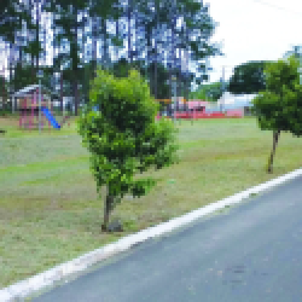 Bairro Bela Vista avança no processo de regularização fundiária