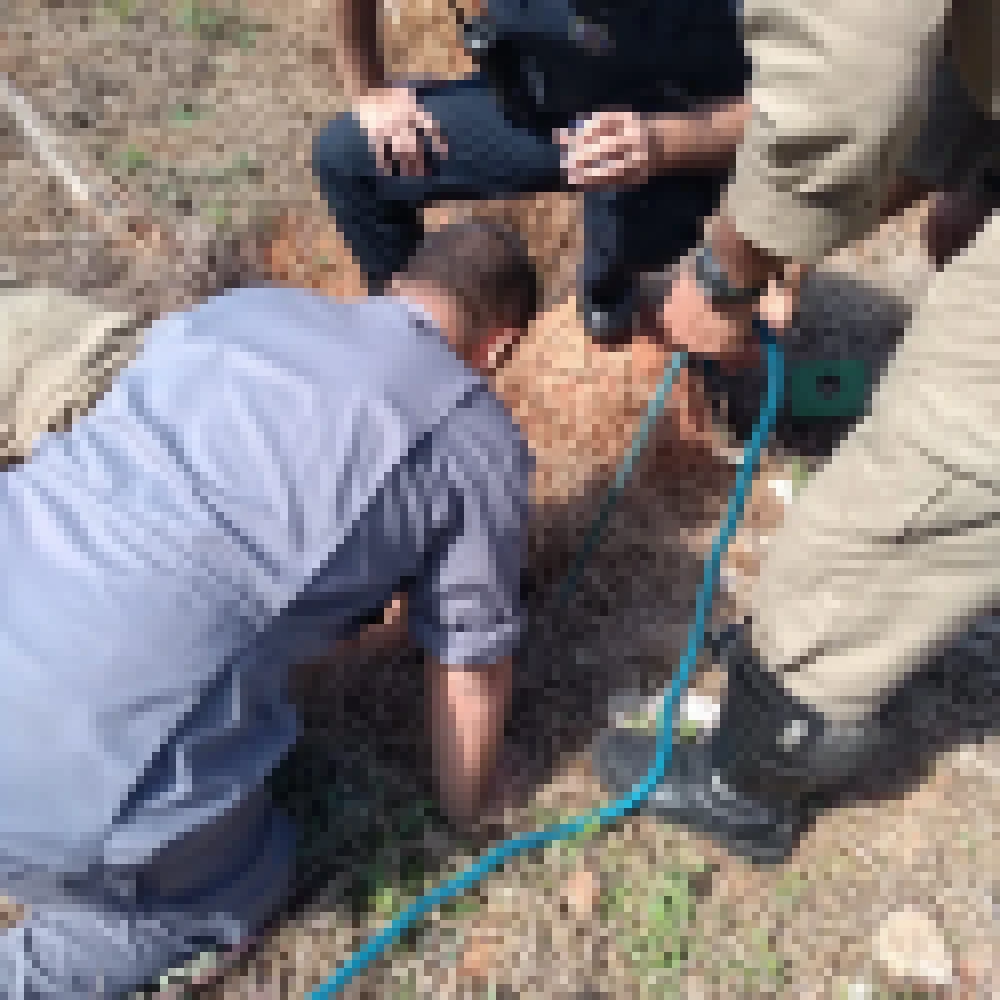 GCM e Corpo de Bombeiros resgatam cachorro preso em buraco de cinco metros em Iperó