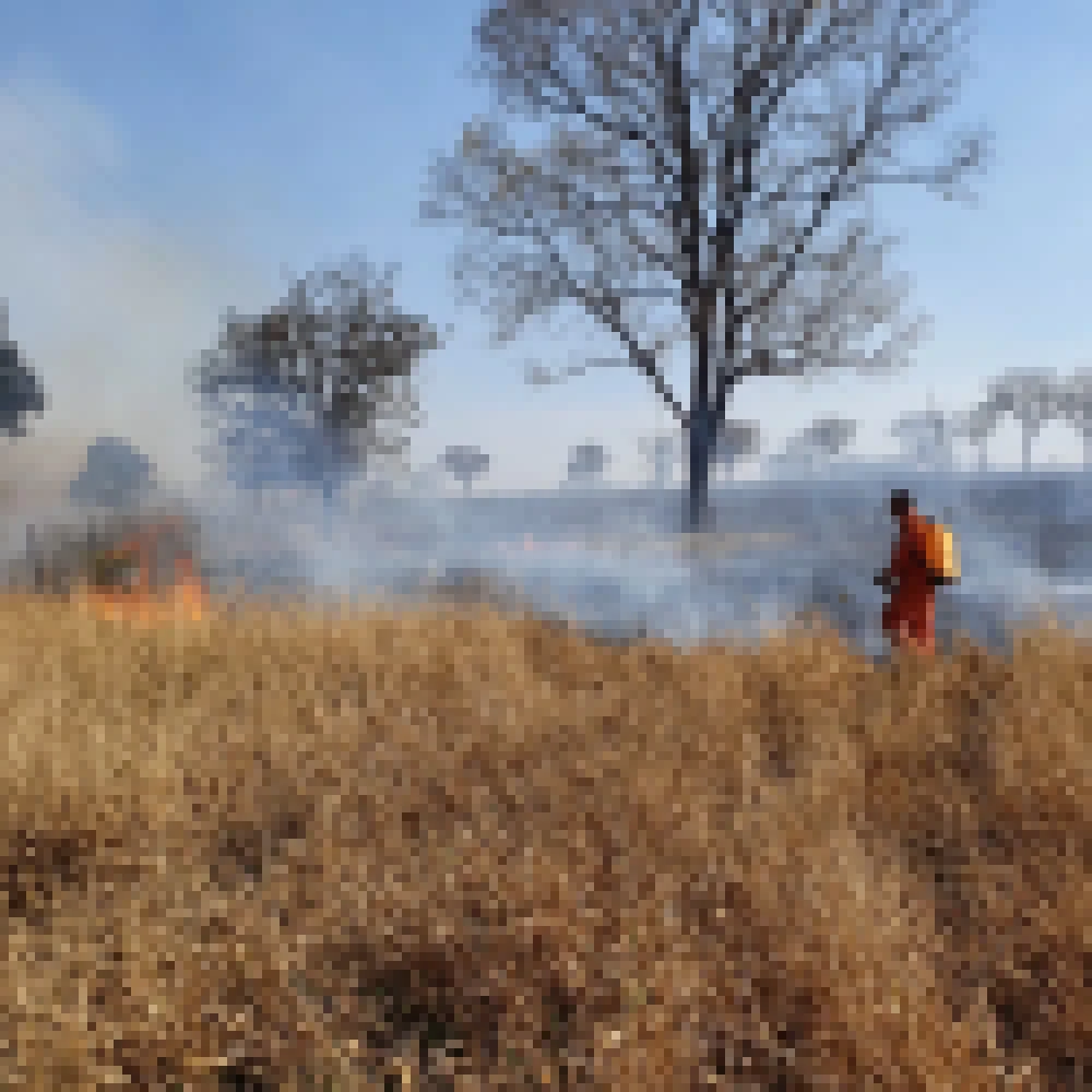 Queimadas causam transtornos em Iperó