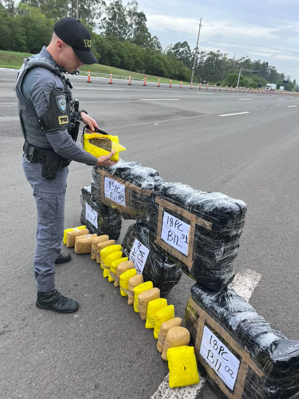 Caminhoneiro é preso com R$ 4,3 milhões em skunk na Rodovia Castello Branco
