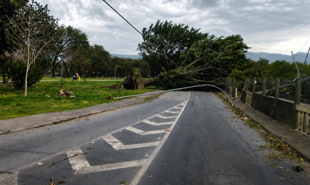SP: ventania pode atingir 50 km/h no fim de semana