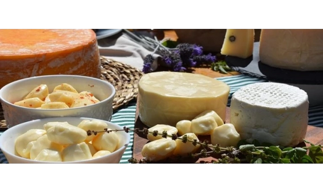 Turismo rural avança com premiação internacional de queijos paulistas