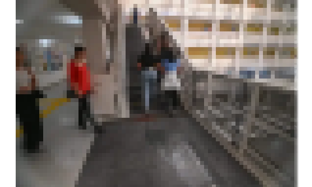 Etecs de SP oferecem 4,8 mil vagas em cursos online e gratuitos