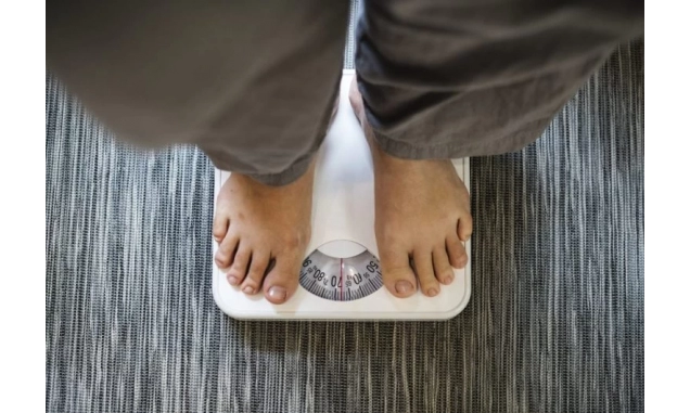 Cientistas descobrem como a obesidade do pai afeta o metabolismo dos filhos