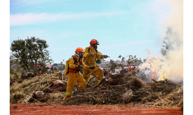 Veja como evitar incêndios durante a fase vermelha para o período de estiagem em São Paulo