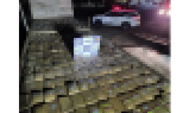 PM apreende 865 kg de droga conhecida como ‘super maconha’ no interior de SP