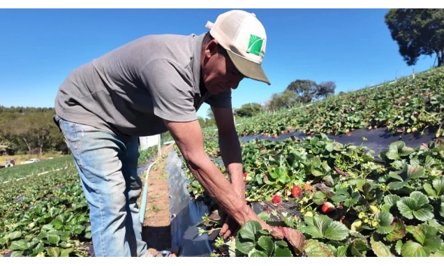 Saiba como vender produção rural a órgãos públicos
