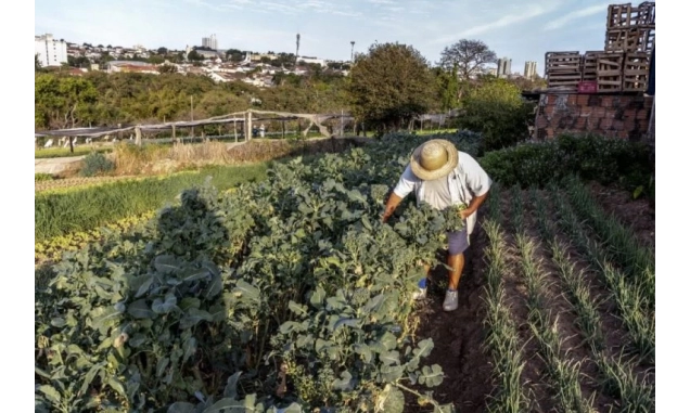 SP anuncia chamamento de 37 novos pesquisadores do agro, primeira contratação em 20 anos